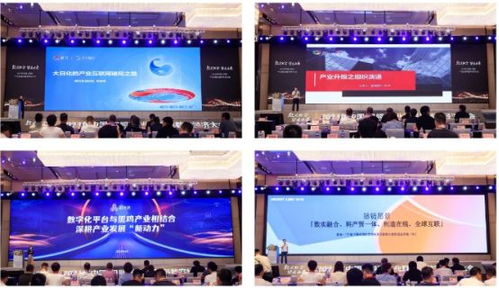 产业互联加速跑，天马集团双奖加冕数字经济大会背后的数据服务破局