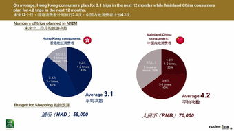 了解96I.T.: 专业数据服务引领信息时代洞察力